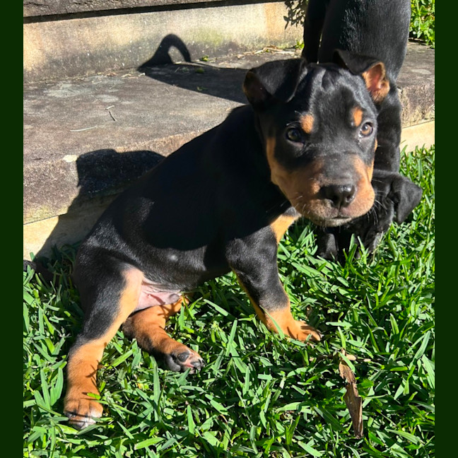 Photo of Bear 🐻 