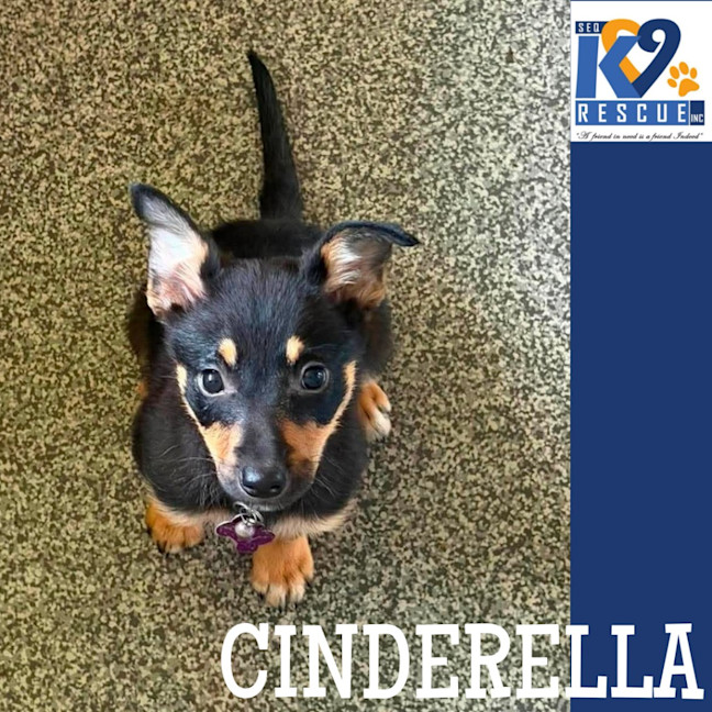 Photo of Cinderella