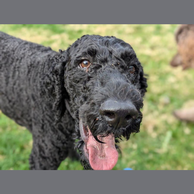 Photo of Arthur Russelton