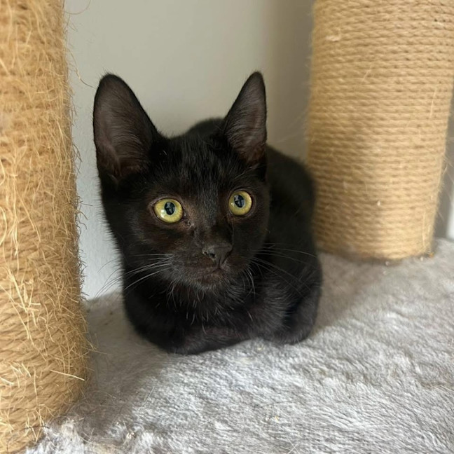 Photo of 11953   Pho