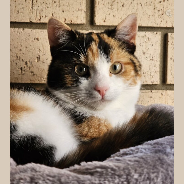 Photo of Winnie