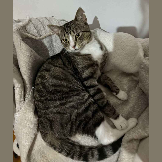 Photo of Trevor