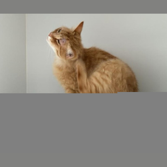 Photo of Wally