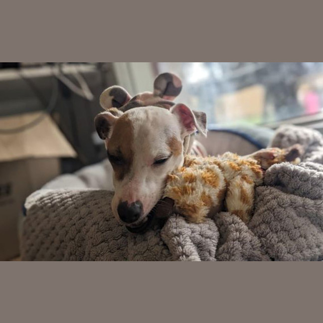 Photo of Emmie