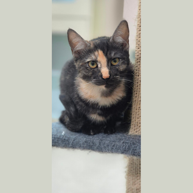 Photo of Miss Pink (0197)