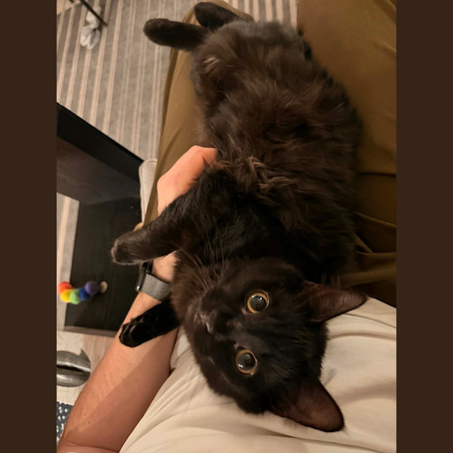 Photo of Nil
