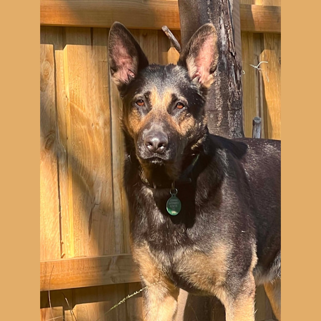 Photo of Sook