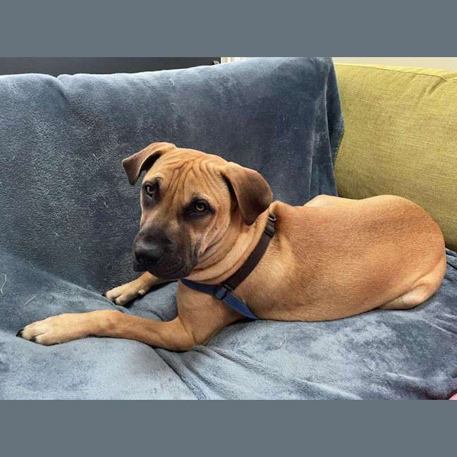 Photo of Liam O’cleary