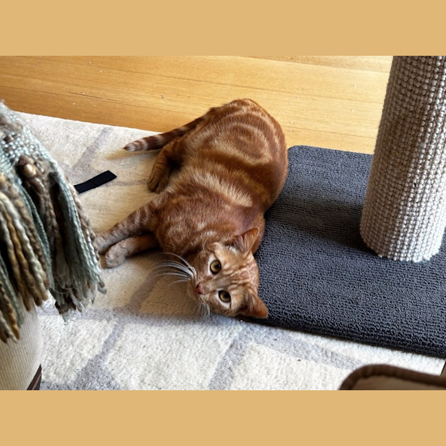 Photo of Charlie Lou Sta013002