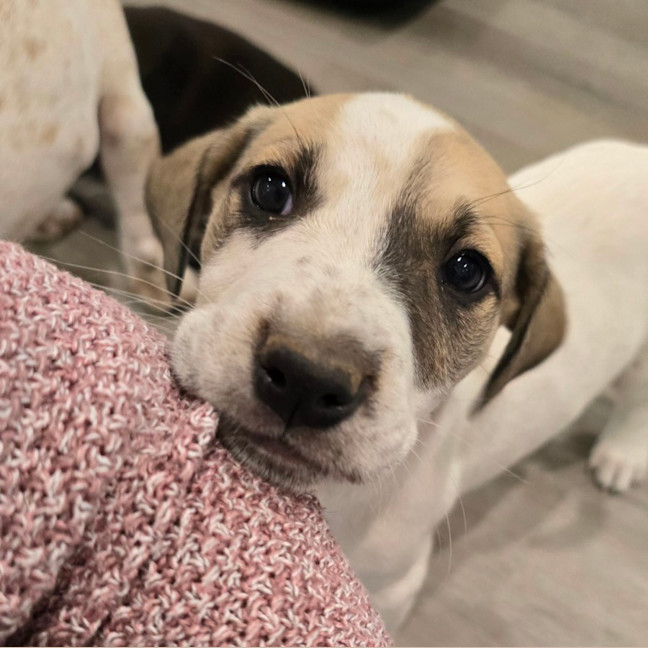 Photo of Lumpy Space Princess