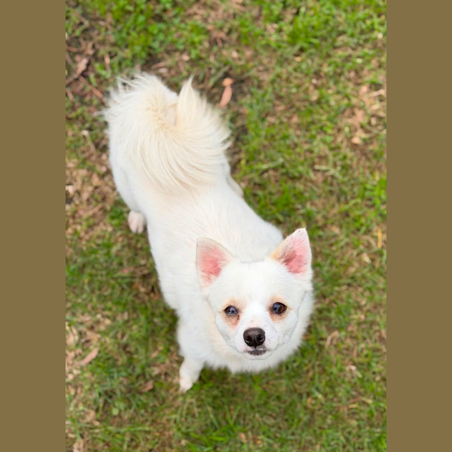Photo of Benny