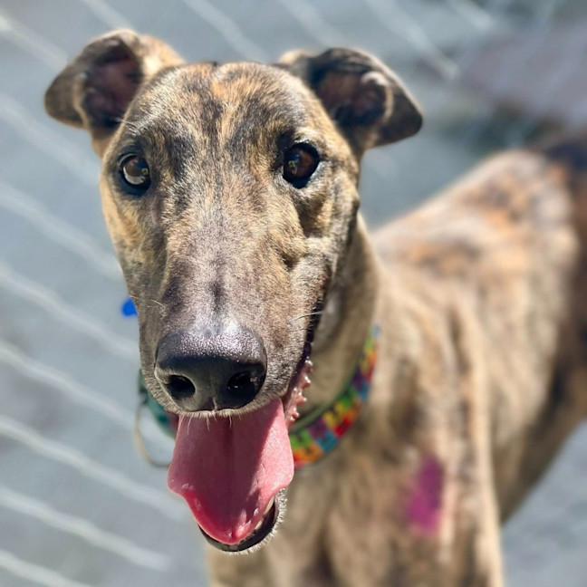 Photo of Mortimer Boris