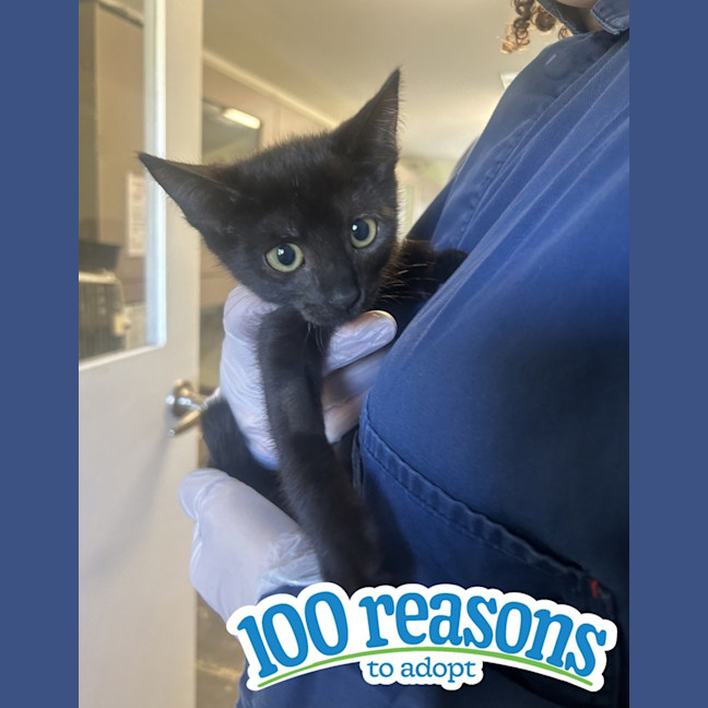 Photo of Makka Pakka