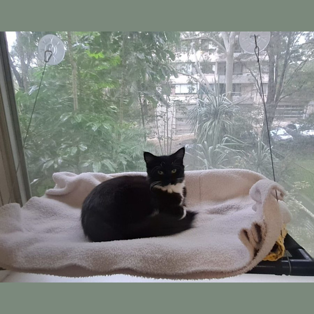 Photo of Donna Summer