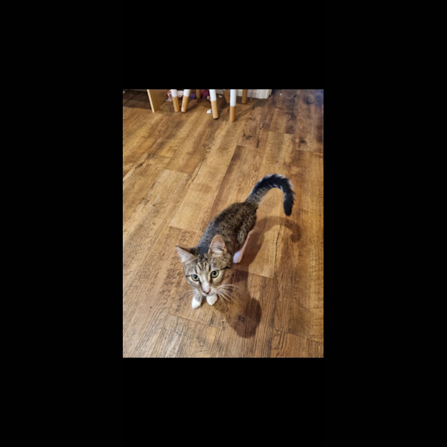 Photo of Judy