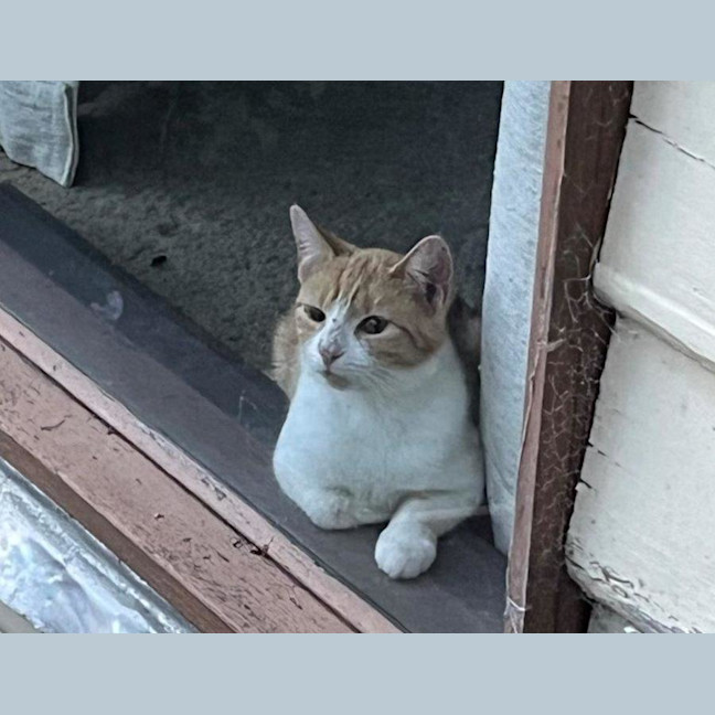 Photo of Olivia O'cleary