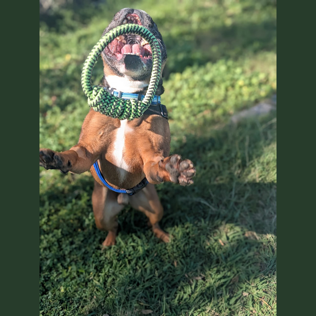 Photo of Axle