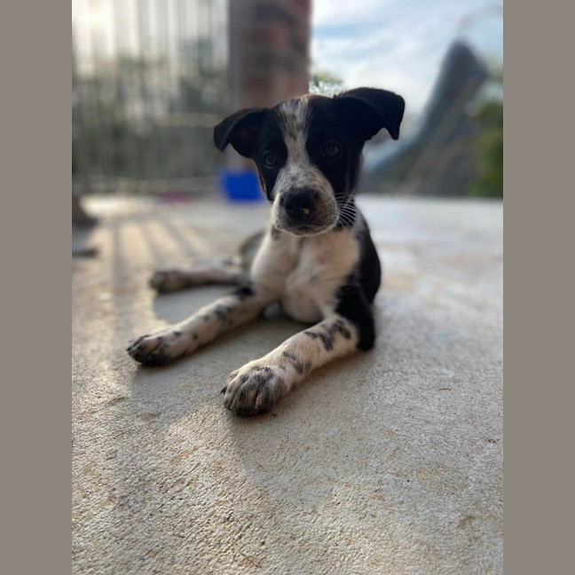 Photo of Stanley