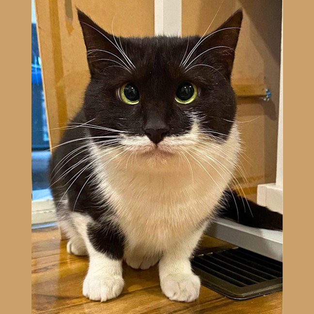 Photo of Maggie