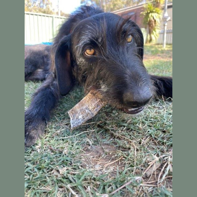 Photo of Roxy Peggotty