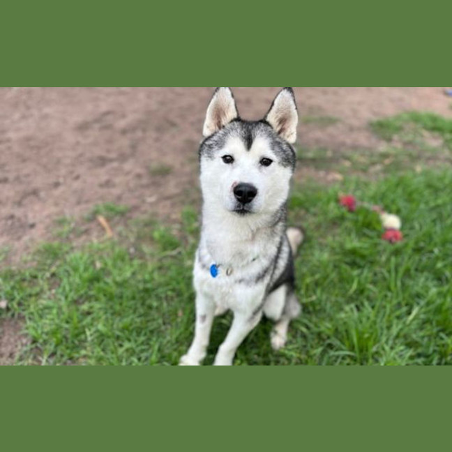 Photo of Hanh 