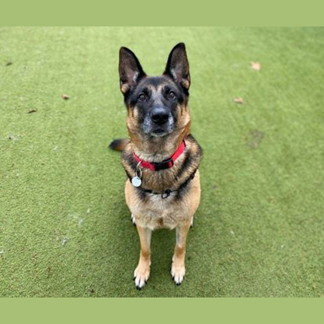 Photo of Heidi