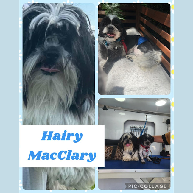 Photo of Hairy Mac Clary 