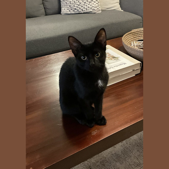 Photo of Sammy