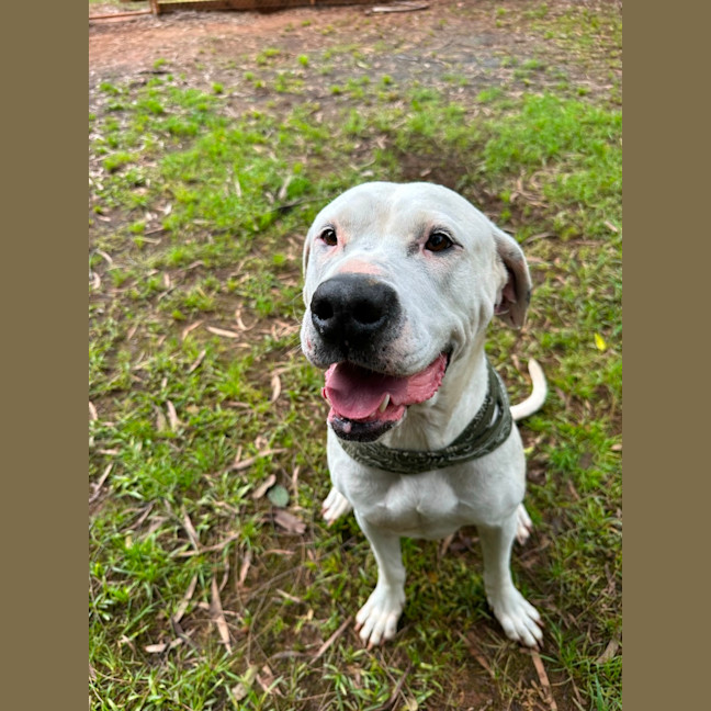 Photo of Harley