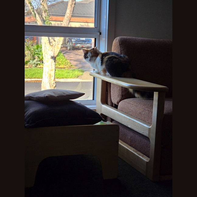 Photo of Callie 