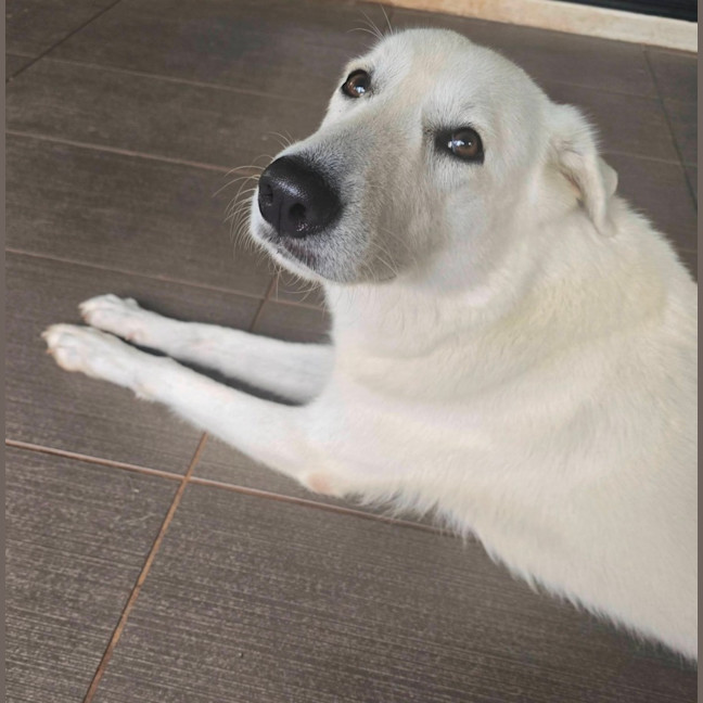 Photo of Freyja