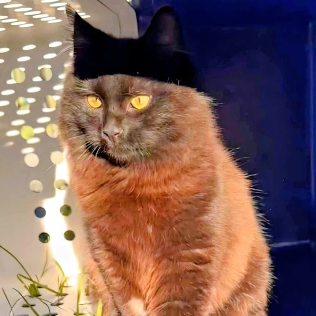 Photo of Ted E Bear