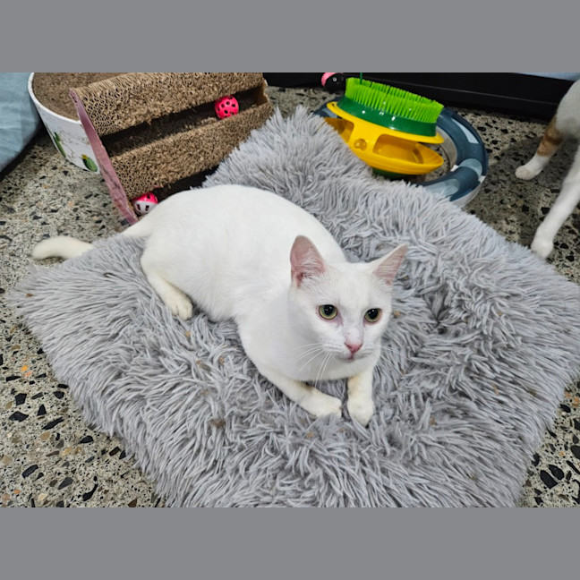 Photo of Rinnie