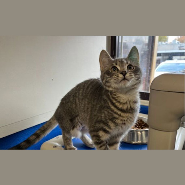 Photo of Cleo
