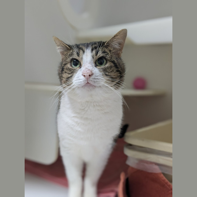 Photo of 🎣 Rafferty 6254 🎣