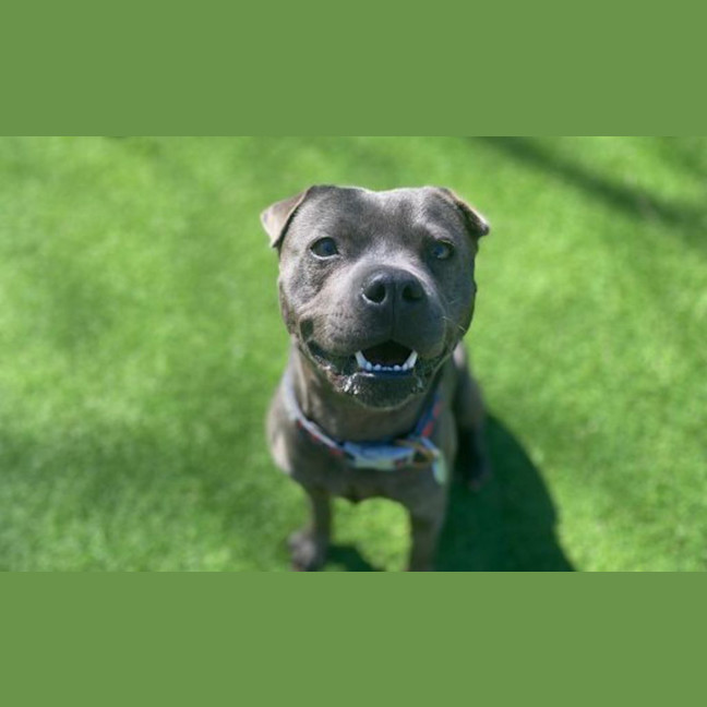 Photo of Candy