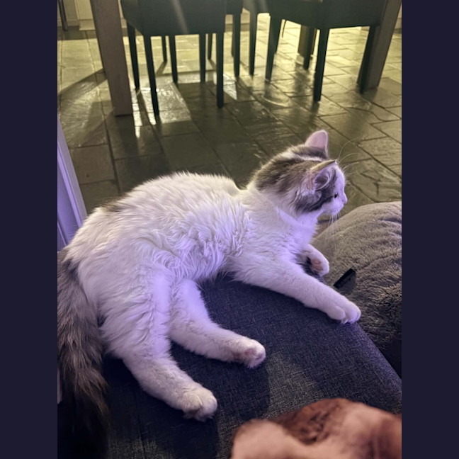 Photo of Kevin 