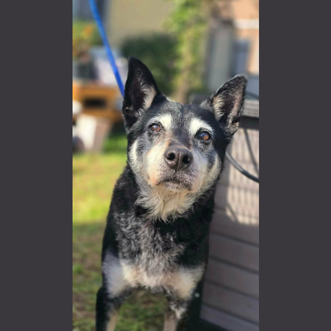 Photo of Walter