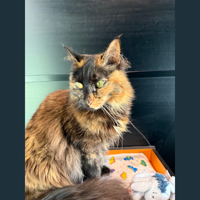 Photo of Sally