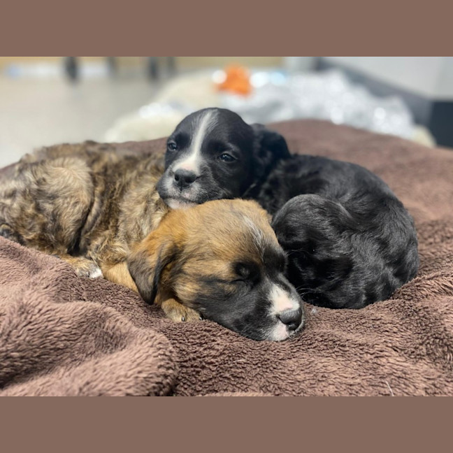 Photo of Dennis Reynolds 