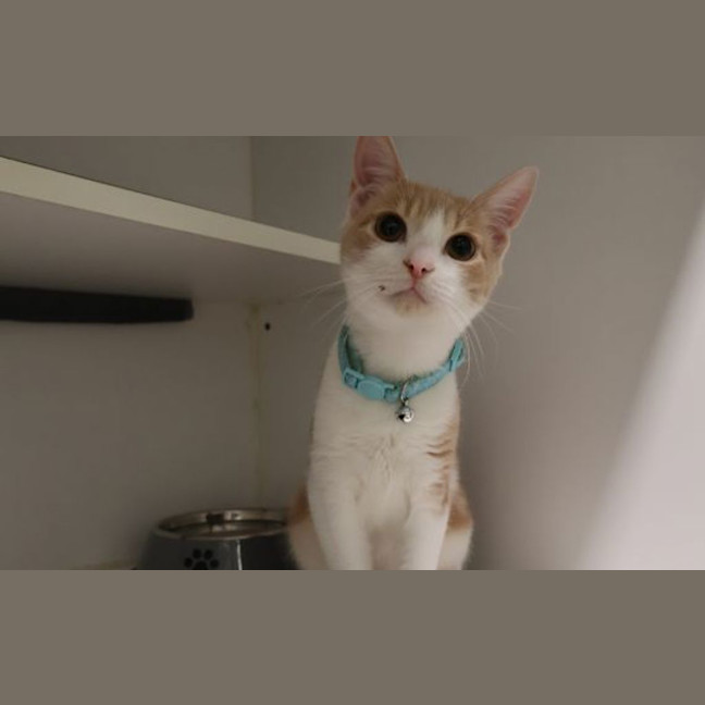 Photo of Lenny