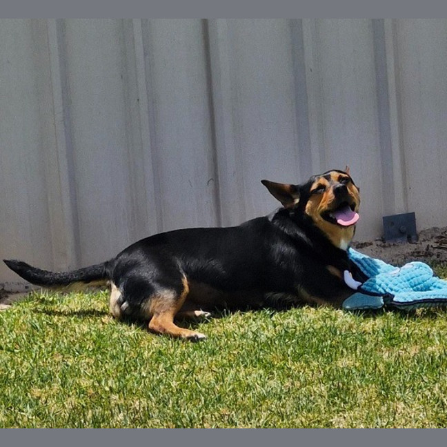 Photo of Kadie