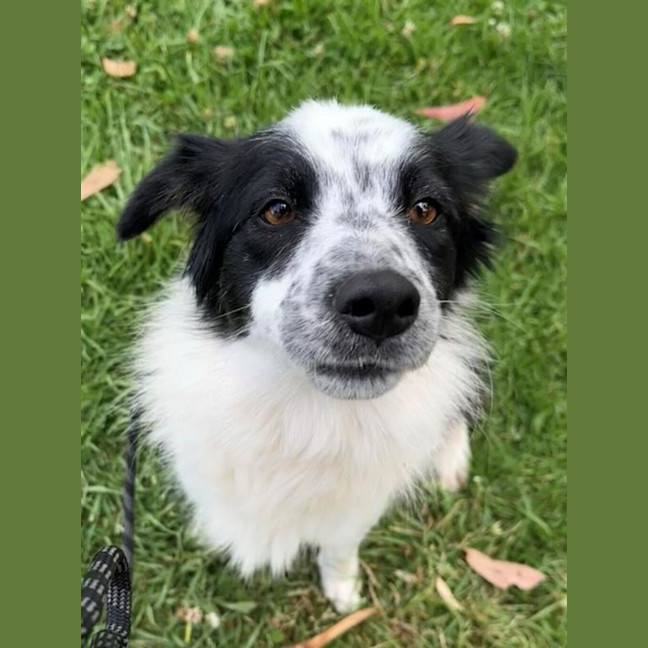 Photo of Lucy
