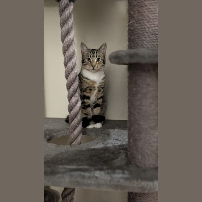 Photo of Little Man