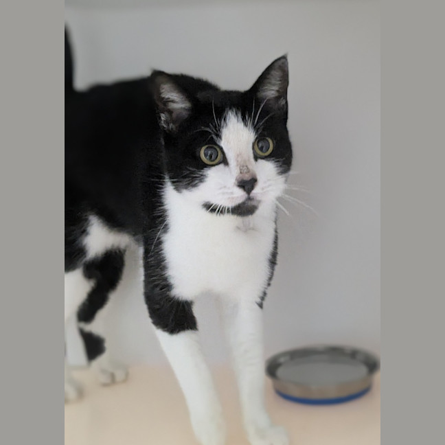 Photo of 🌱 Camila 6171 🌱