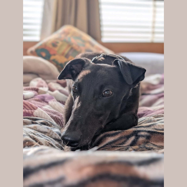 Photo of Blanche