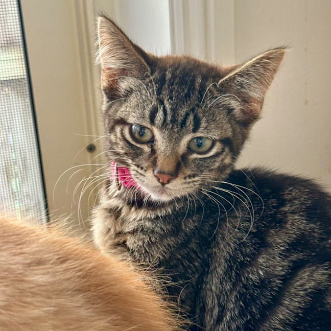 Photo of Winona