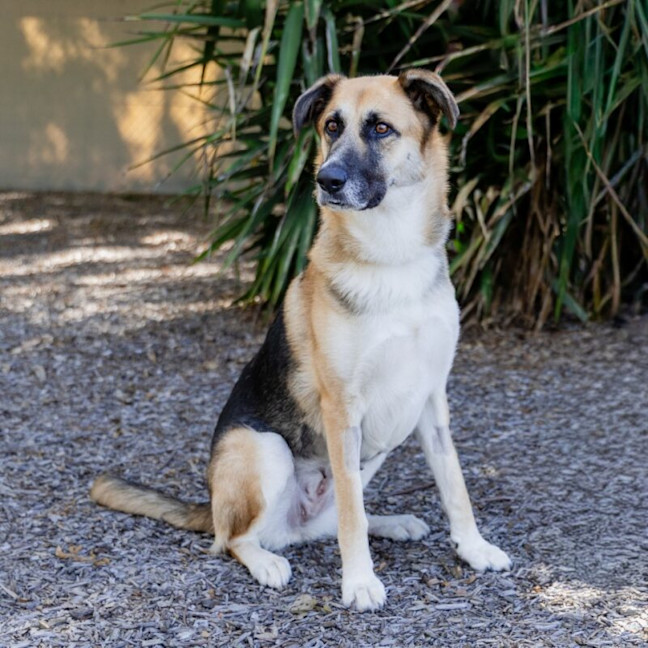 Photo of Diamond