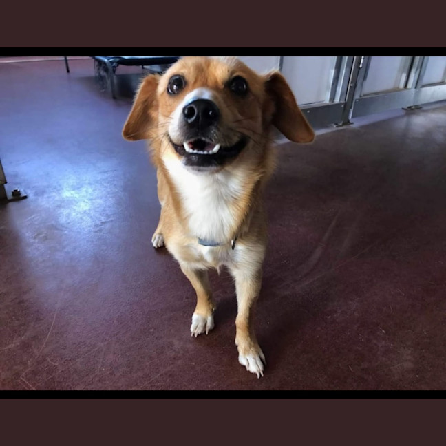 Photo of Yogi