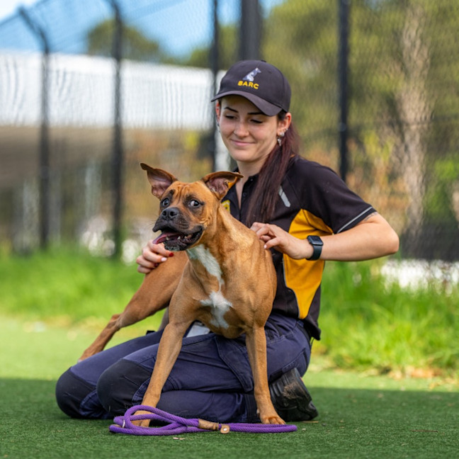 Photo of Monkey Imp 2491